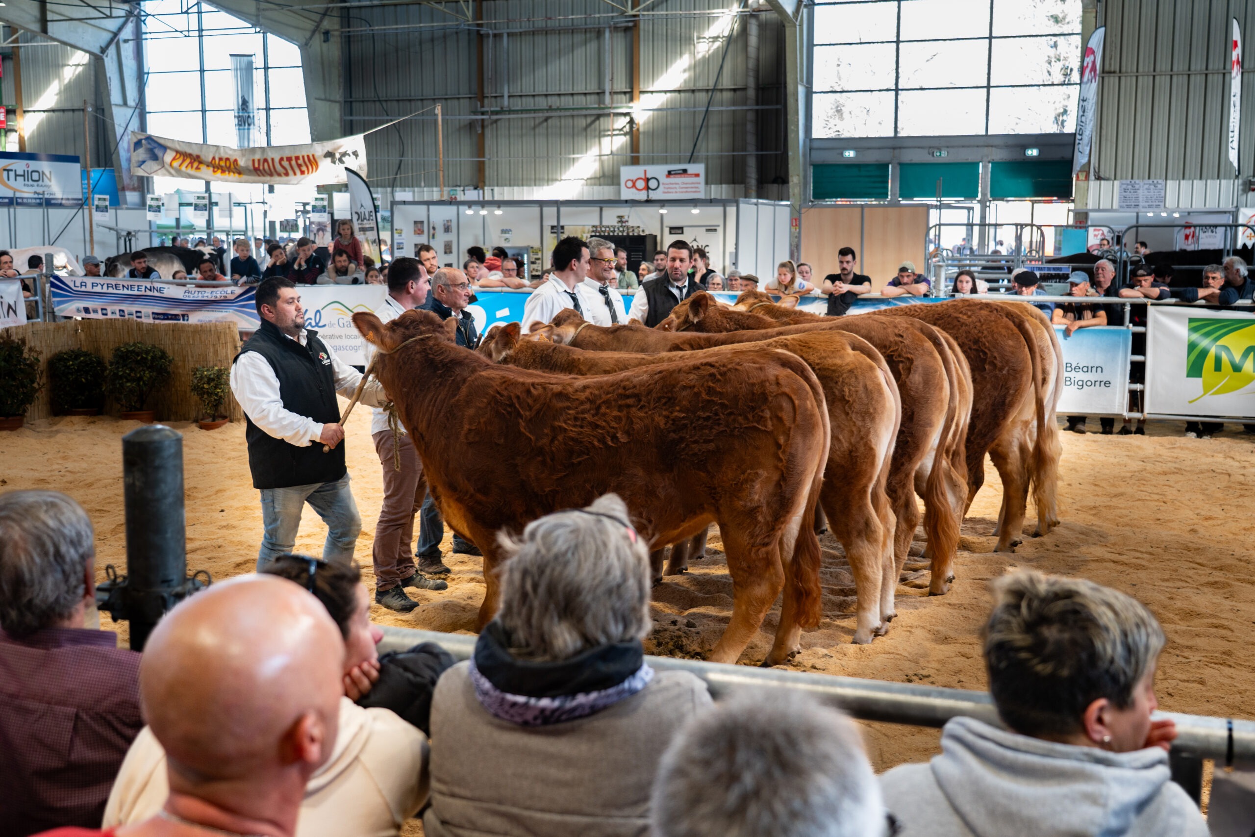 image de présentation - Programme : en cours de création, ci-dessous le programme de 2025