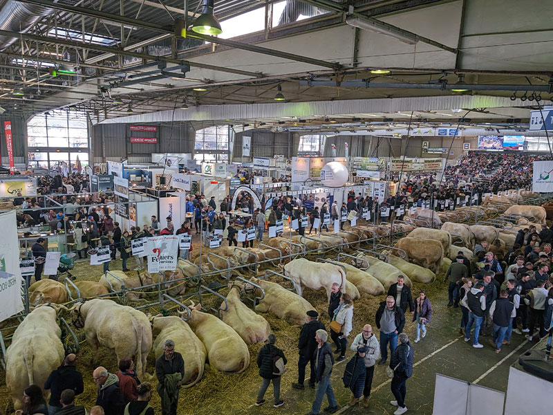 image de présentation - Exposants