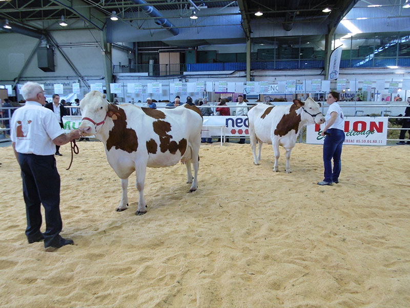 Salon Agricole de Tarbes 2025 - Programme 2025