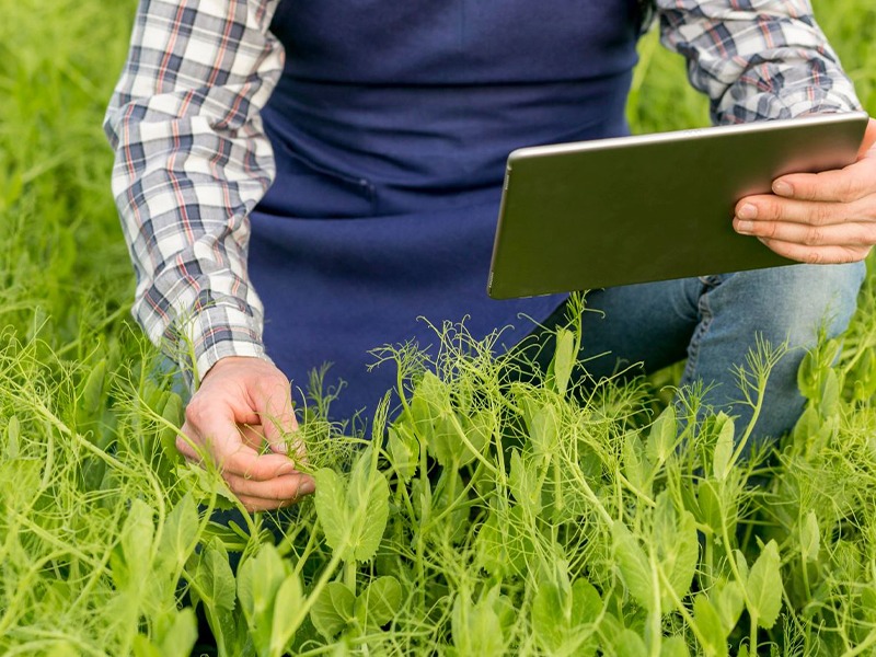 Salon Agricole de Tarbes et foire de Rabastens - Promouvoir les pratiques agricoles modernes et durables.